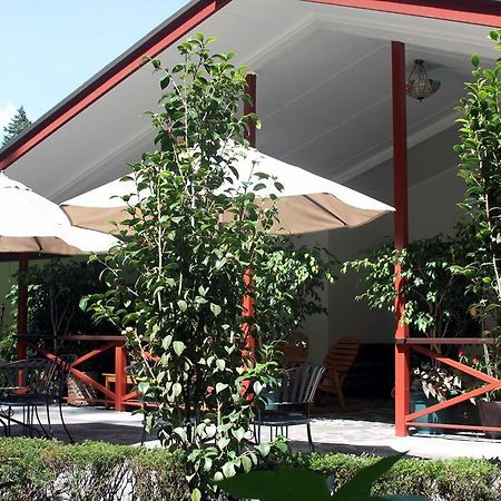 Cielito Sur Bed & Breakfast Inn Cerro Punta Exterior photo